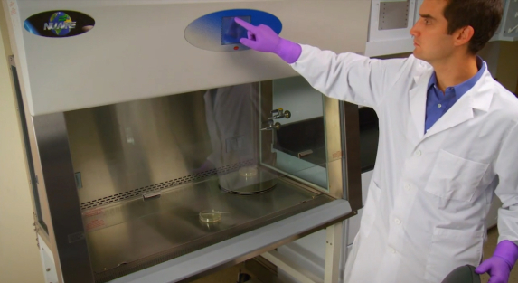 Biosafety Cabinet Myths and Misconceptions Debunked