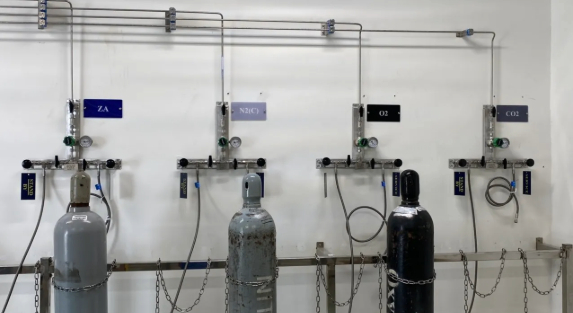 Key Components of a Laboratory Gas Distribution System
